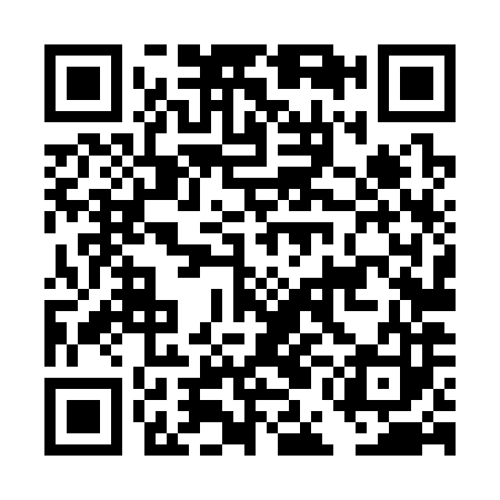 QR code for DEL383