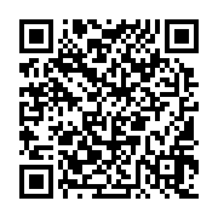 QR code for DFM316