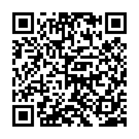 QR code for DFM410