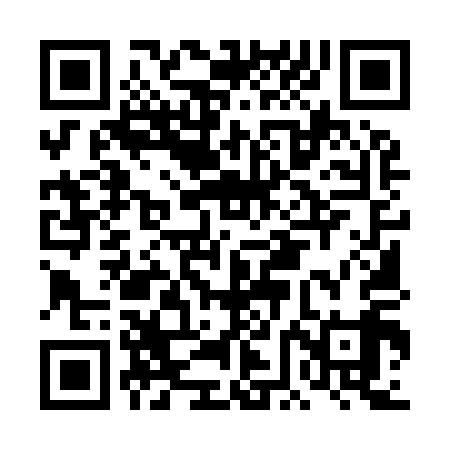 QR code for DFM919