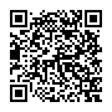 QR code for DFS575