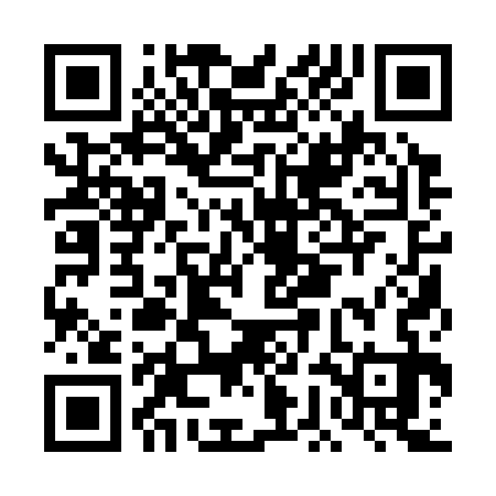 QR code for DGA333