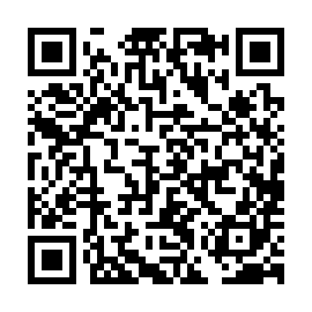 QR code for DGP380