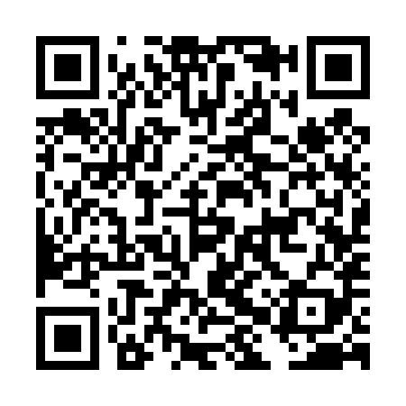 QR code for DHS489