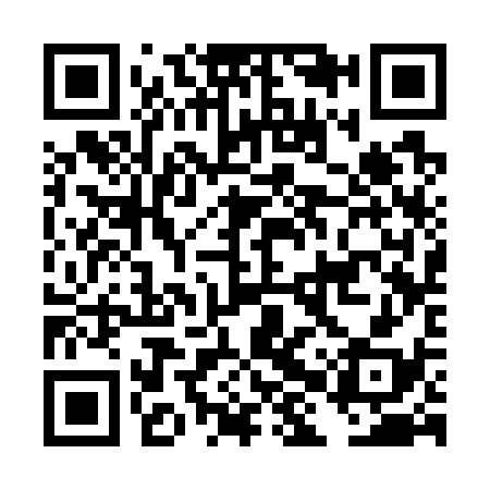 QR code for DHS738