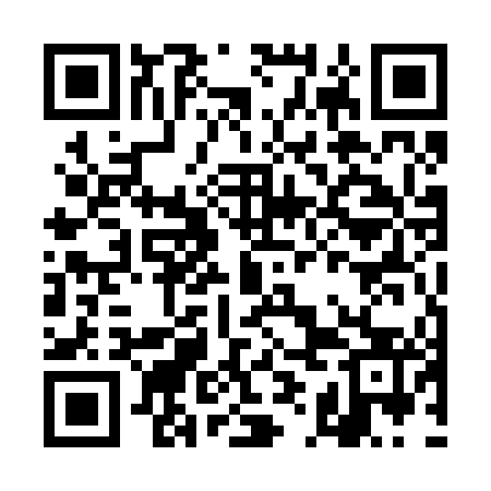 QR code for DIE243