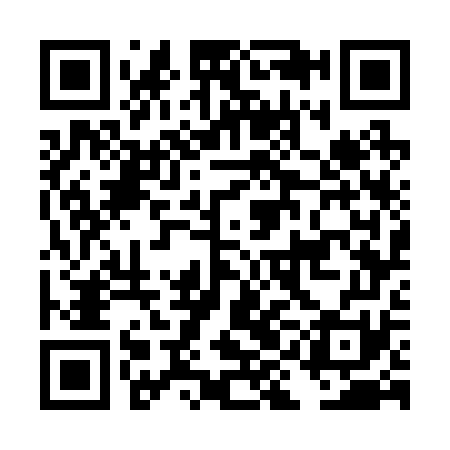 QR code for DIG271