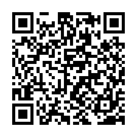 QR code for DIM217
