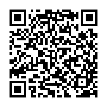 QR code for DIQ383