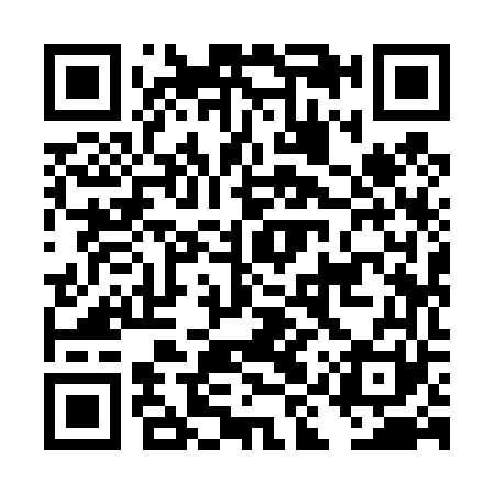 QR code for DIY461
