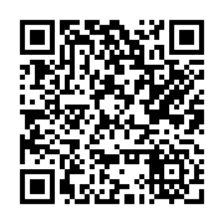 QR code for DIZ347