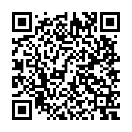 QR code for DIZ560