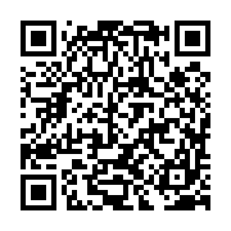 QR code for DIZ597