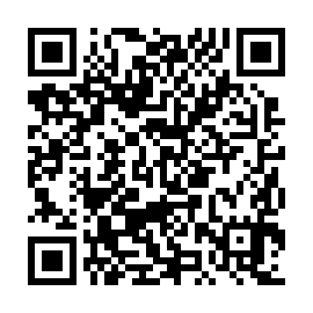 QR code for DJR295