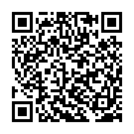 QR code for DLE293