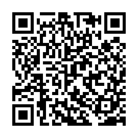 QR code for DLG541