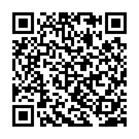 QR code for DLM728