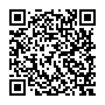 QR code for DLP994