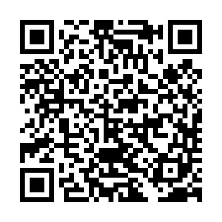 QR code for DLR441