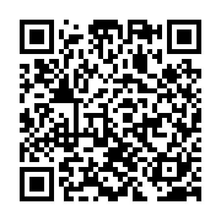 QR code for DMG221