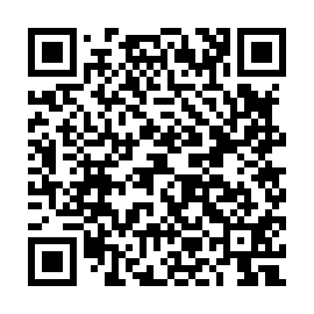 QR code for DMG811