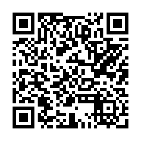 QR code for DMN631