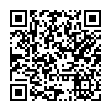 QR code for DMR307