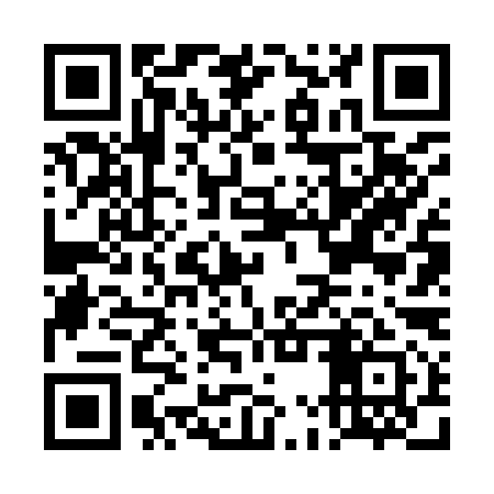 QR code for DMV991
