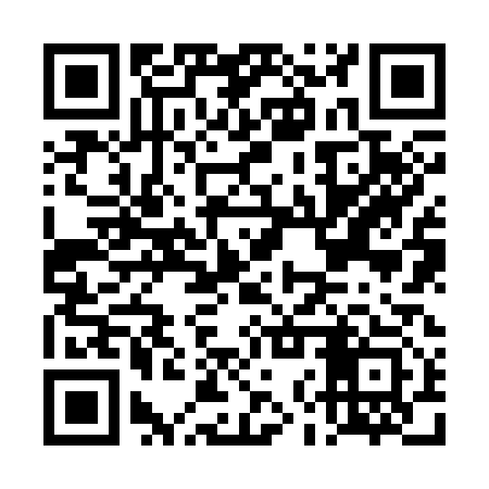 QR code for DNZ313