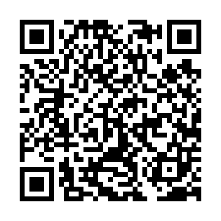 QR code for DOT603