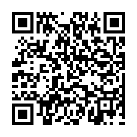 QR code for DPF317