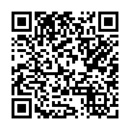 QR code for DPG381
