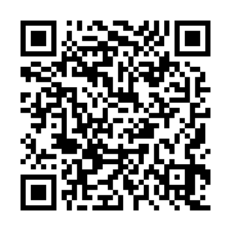 QR code for DPI833