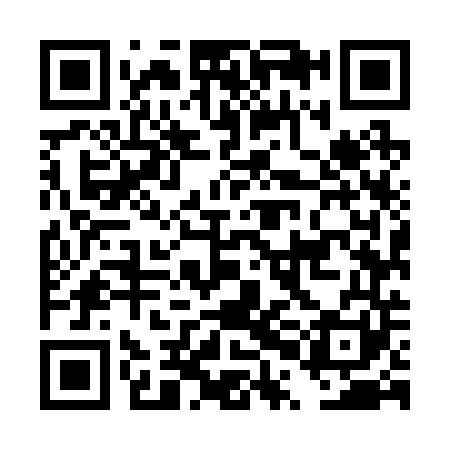 QR code for DPM241