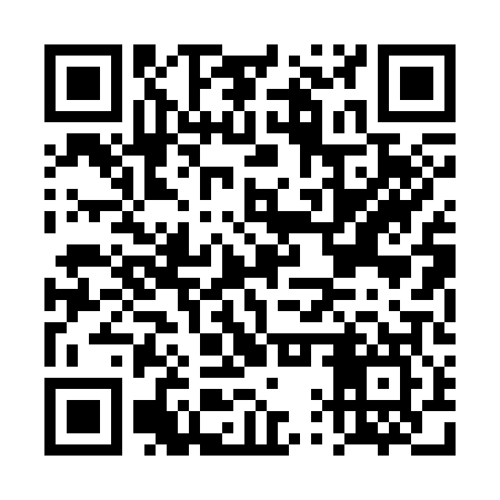 QR code for DQP307