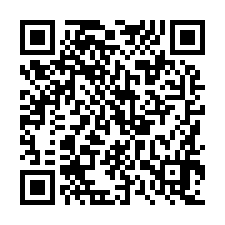 QR code for DQX994