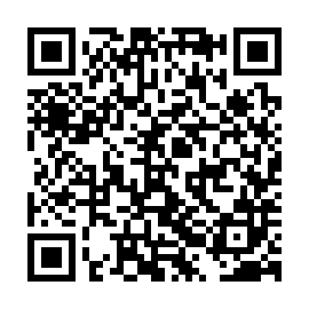 QR code for DRG382