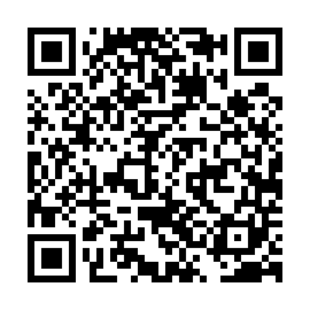 QR code for DSD541