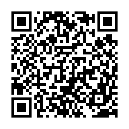 QR code for DSI656