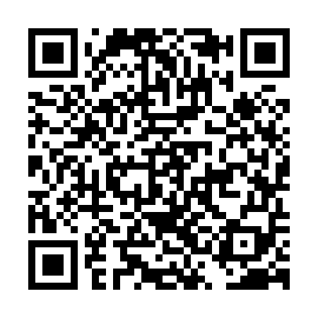 QR code for DSK859