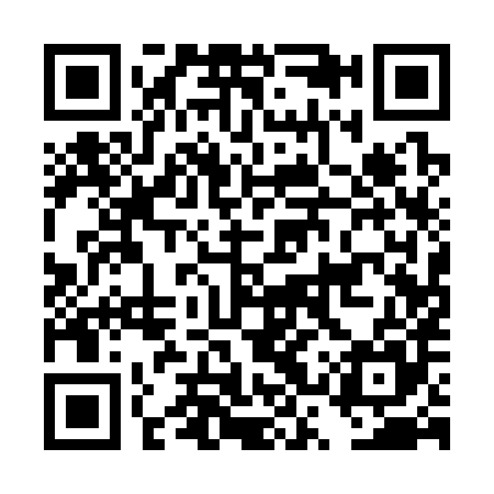 QR code for DSQ385