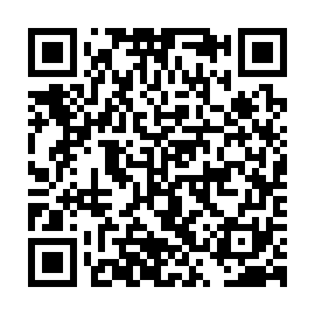 QR code for DSS371