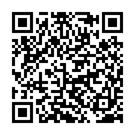 QR code for DSU293