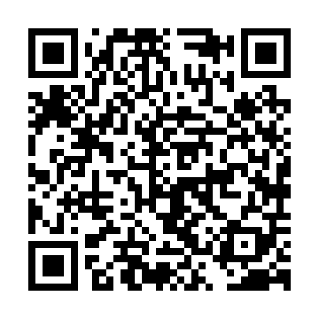 QR code for DSX209
