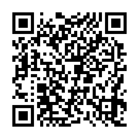 QR code for DSX379