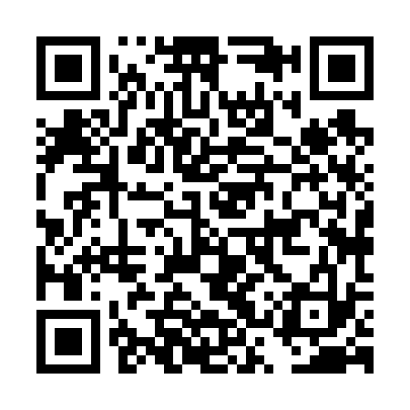 QR code for DSX633