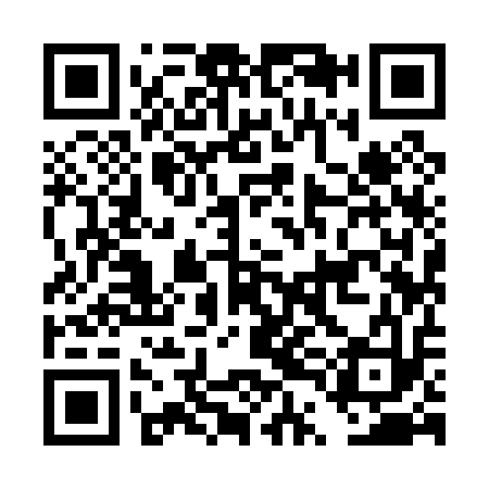 QR code for DTI013