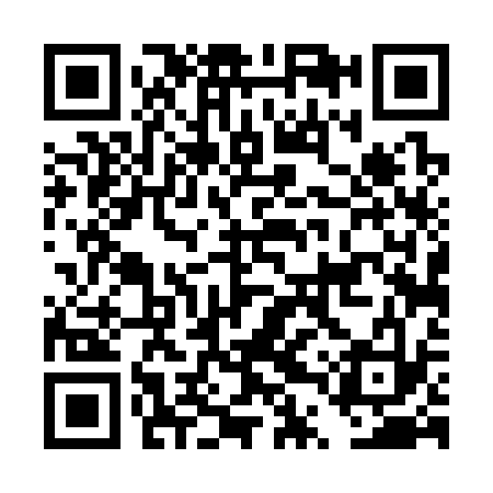 QR code for DTT333