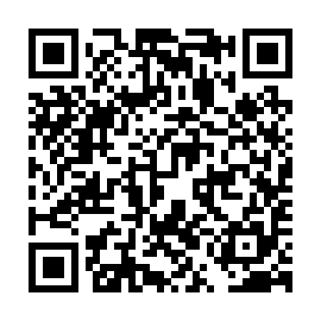 QR code for DUC295