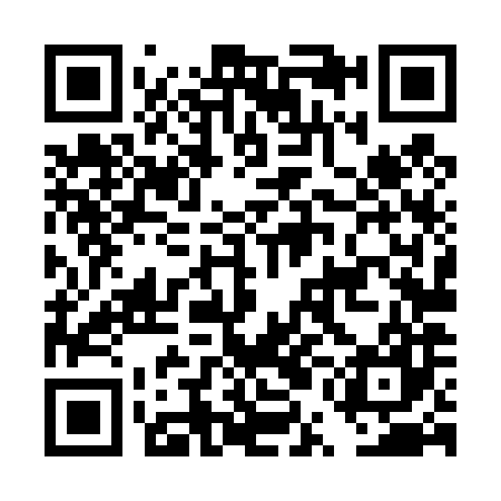 QR code for DUL487